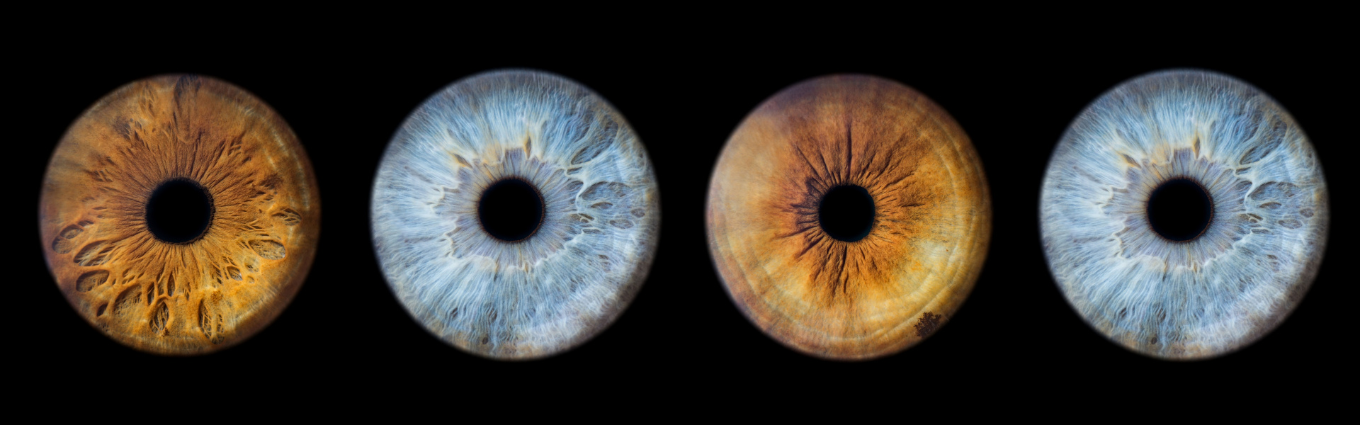 Understanding the Basics of Iridology